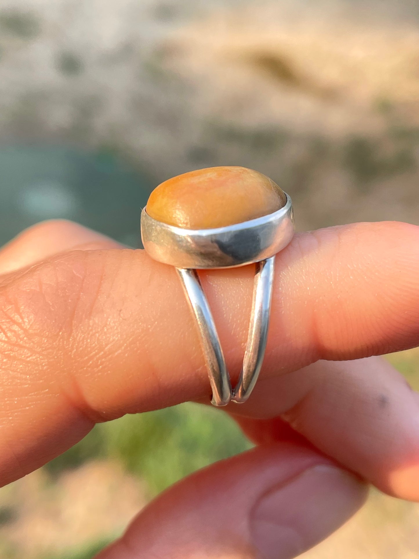 Western Washington Beach Rock Rings