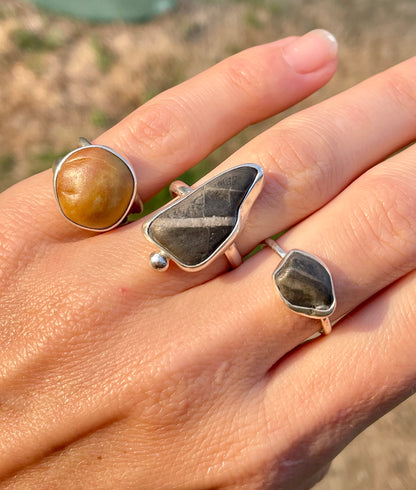 Western Washington Beach Rock Rings
