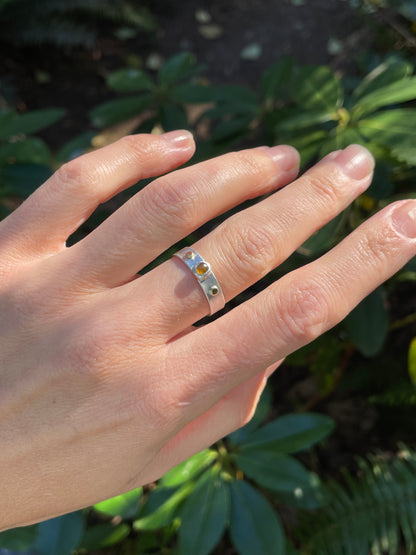 Montana Sapphire Ring size 9
