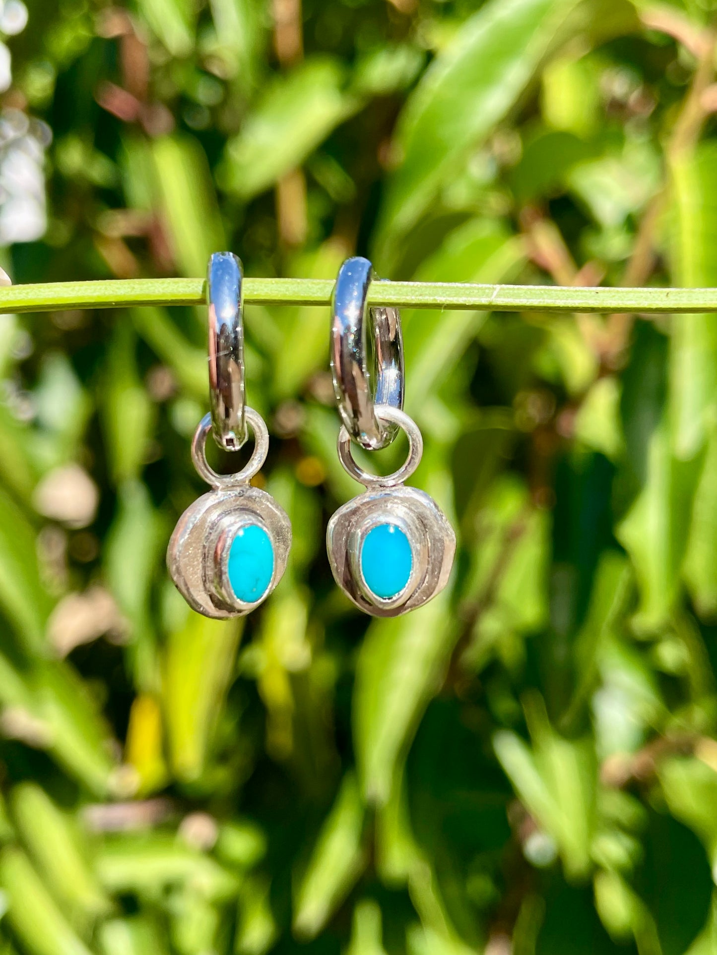 Kingman turquoise Huggie Hoop Earrings