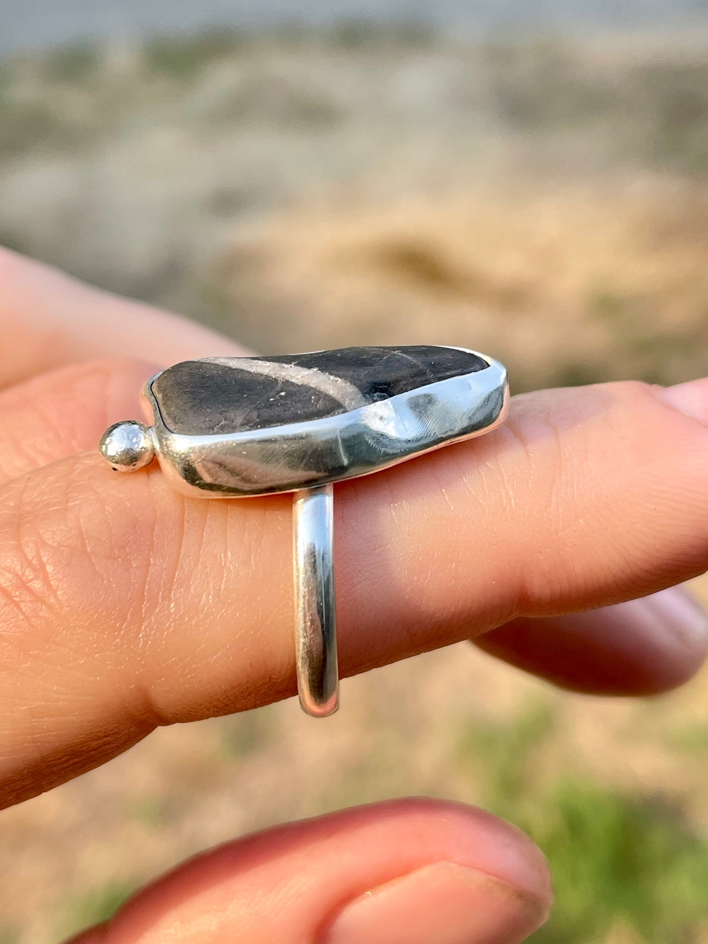 Western Washington Beach Rock Rings