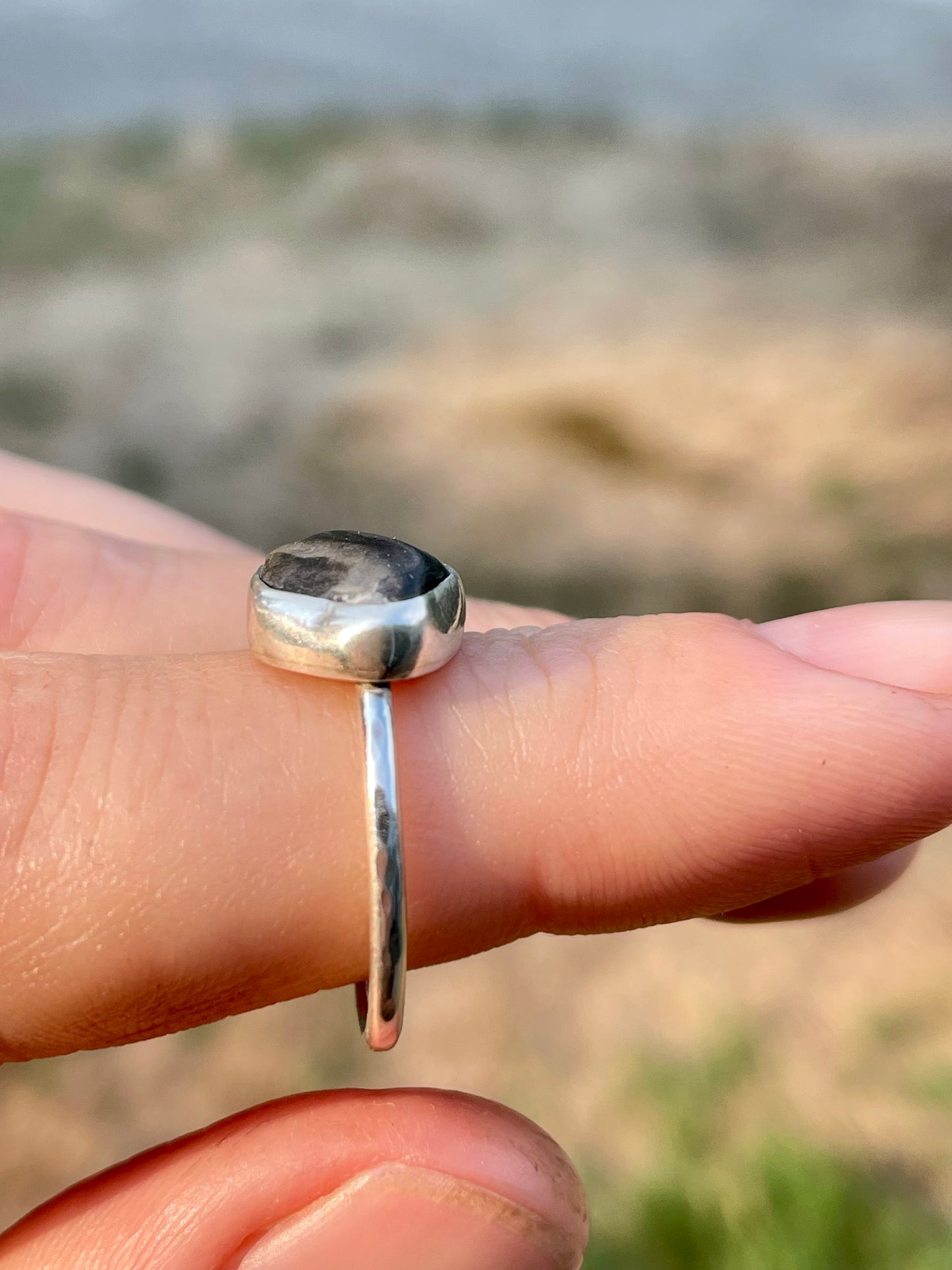 Western Washington Beach Rock Rings