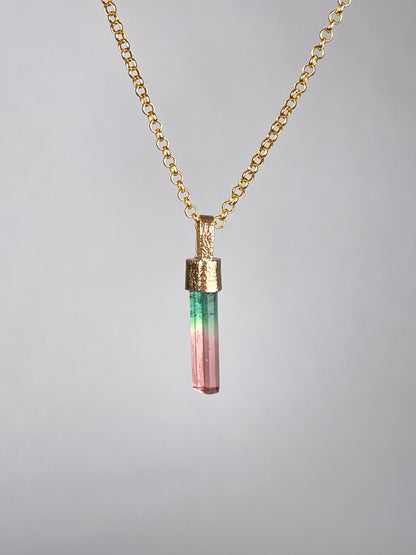 Bi-colored Tourmaline Necklace in Gold