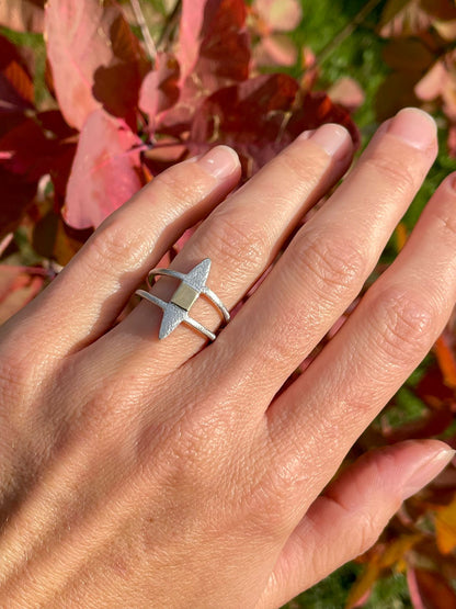 Sterling and 18k Gold Ring