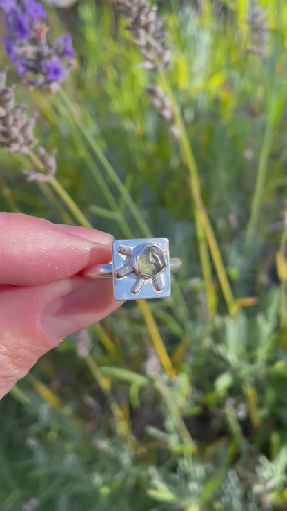 Montana Sapphire Sunray Ring size 8