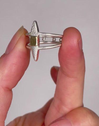 Sterling and 18k Gold Ring