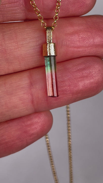 Bi-colored Tourmaline Necklace in Gold